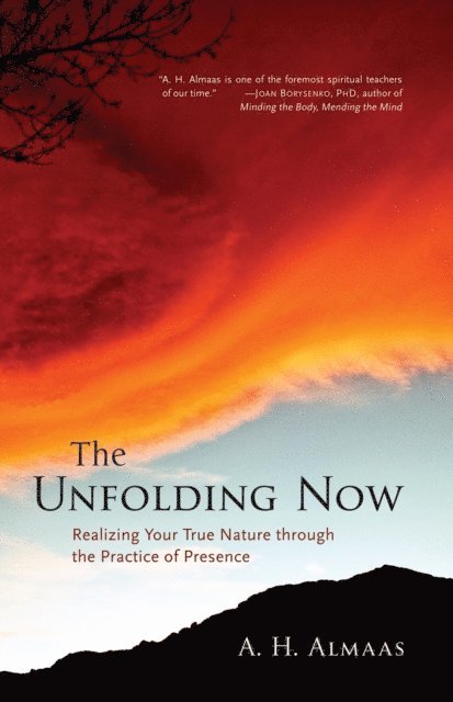 A. H. Almaas - Unfolding Now, E-bok