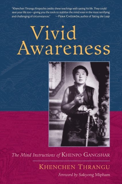 Khenchen Thrangu - Vivid Awareness, E-bok