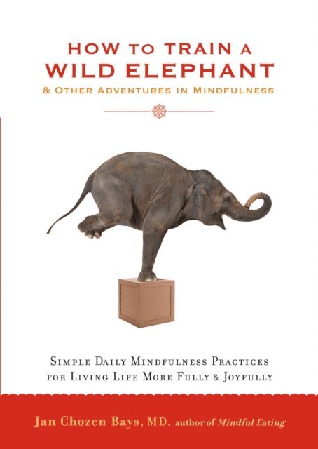 Jan Chozen Bays - How to Train a Wild Elephant, E-bok