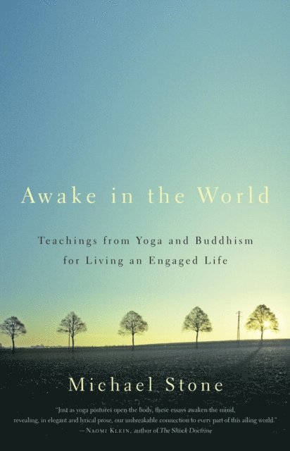 Michael Stone - Awake in the World, E-bok