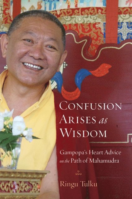 Ringu Tulku - Confusion Arises as Wisdom, E-bok