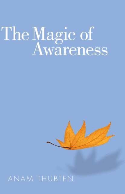 Anam Thubten - Magic of Awareness, E-bok