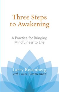 Three Steps to Awakening