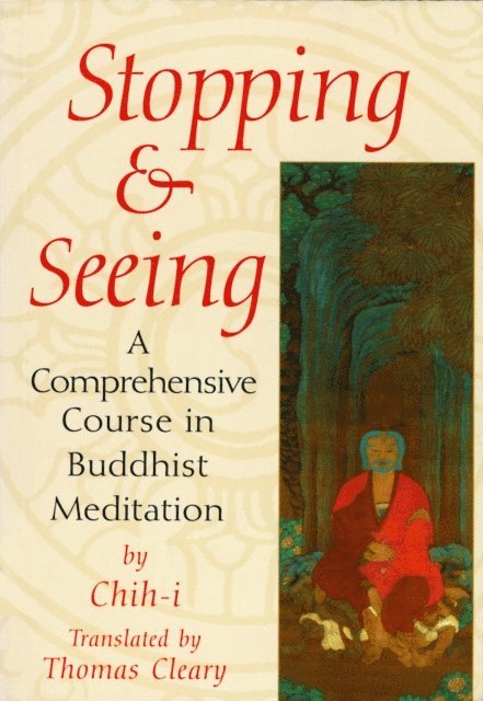 Stopping and Seeing, E-bok