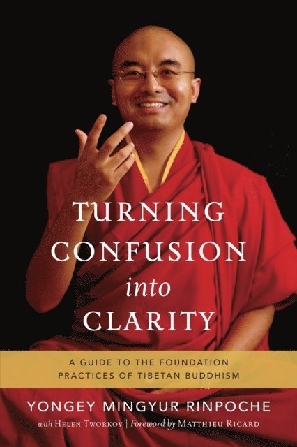 Helen Tworkov, Yongey Mingyur Rinpoche - Turning Confusion into Clarity, E-bok
