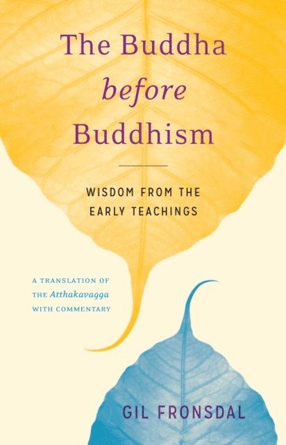 Gil Fronsdal - Buddha before Buddhism, E-bok