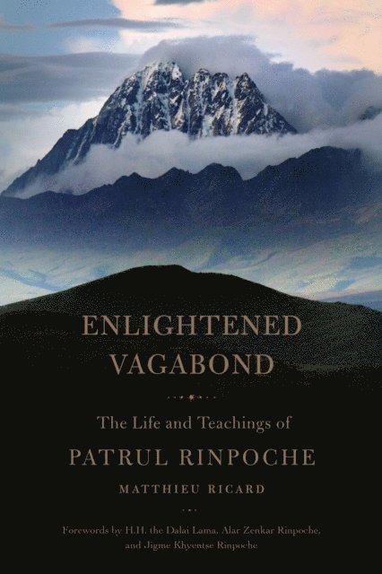 Matthieu Ricard, Constance Wilkinson - Enlightened Vagabond, E-bok