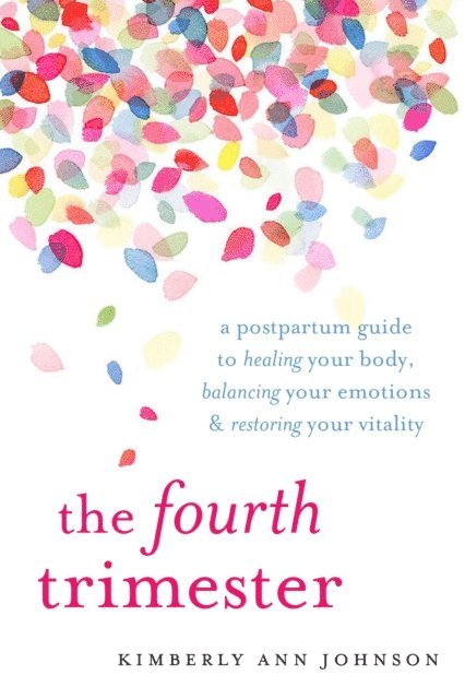 Kimberly Ann Johnson - Fourth Trimester, E-bok