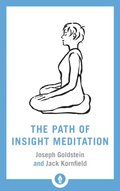 Path of Insight Meditation