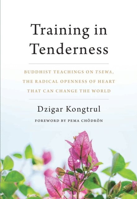 Dzigar Kongtrul - Training in Tenderness, E-bok