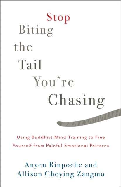 Allison Choying Zangmo, Anyen Rinpoche - Stop Biting the Tail You're Chasing, E-bok