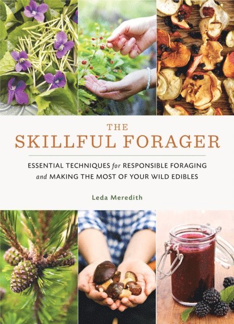 Leda Meredith - Skillful Forager, E-bok