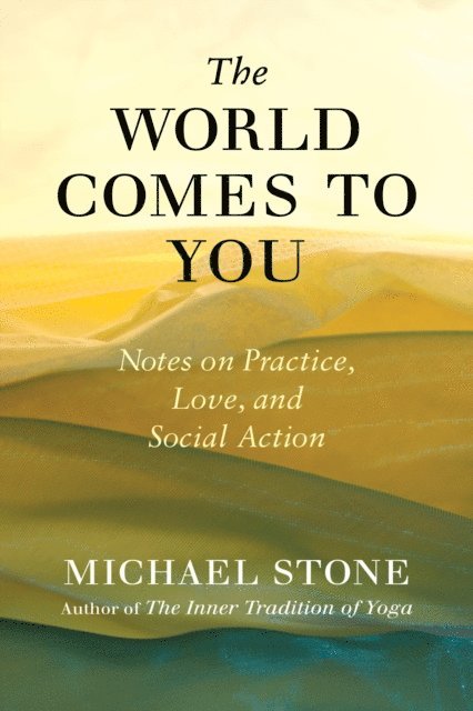 Michael Stone - World Comes to You, E-bok
