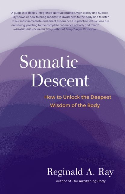 Reginald A. Ray - Somatic Descent, E-bok