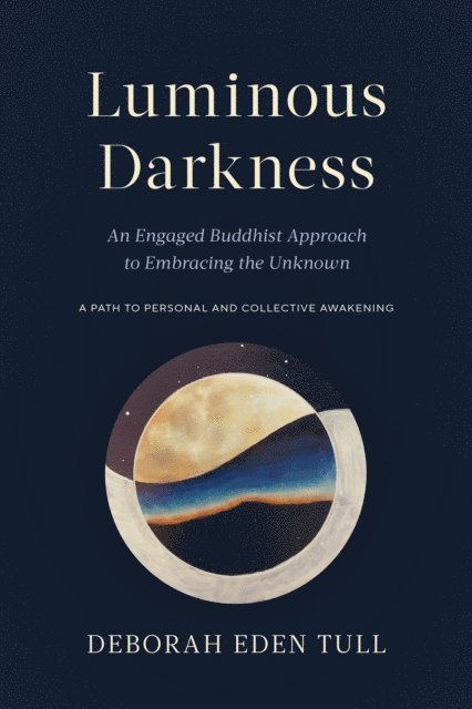 Deborah Eden Tull - Luminous Darkness, E-bok