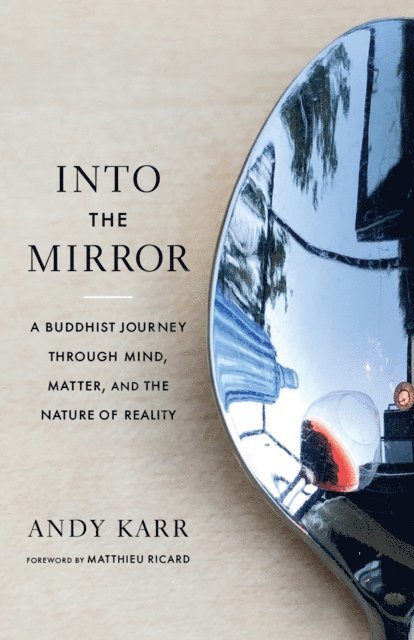 Andy Karr - Into the Mirror, E-bok