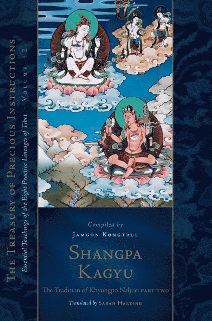 Jamgon Kongtrul Lodro Taye - Shangpa Kagyu: The Tradition of Khyungpo Naljor, Part Two, E-bok