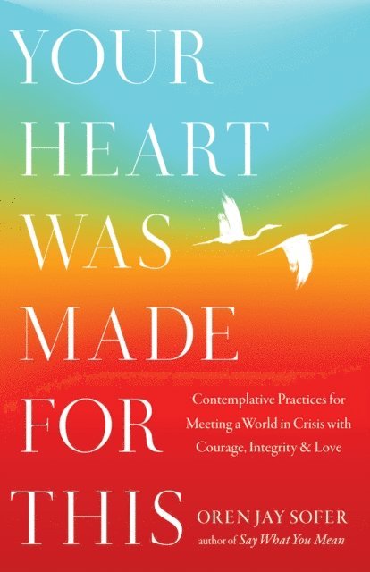 Oren Jay Sofer - Your Heart Was Made for This, E-bok