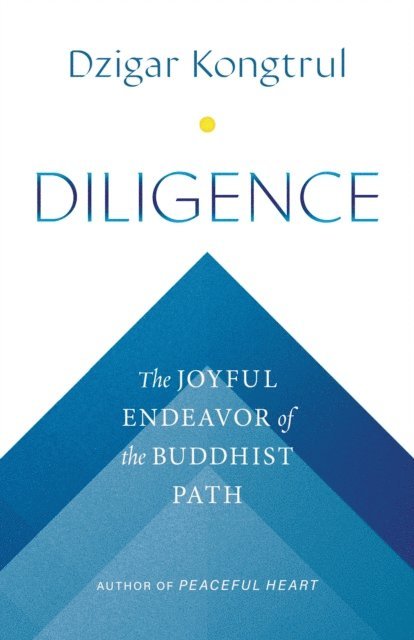 Dzigar Kongtrul, Jennifer Shippee - Diligence, E-bok