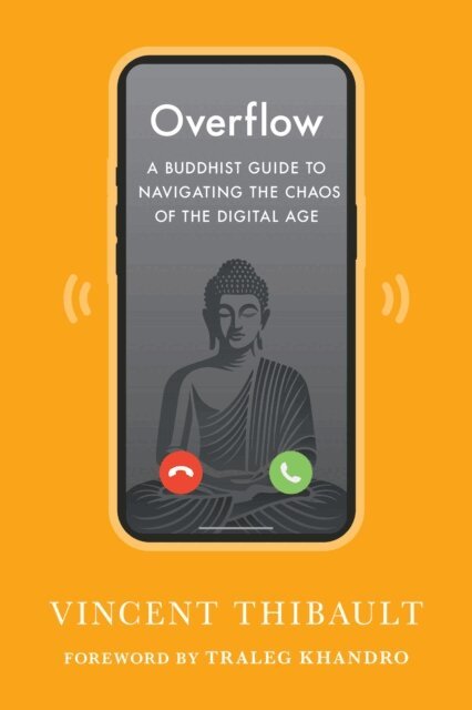 Vincent Thibault - Overflow, E-bok