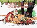 There's Treasure Everywhere: A Calvin and Hobbes Collection Volume 11