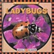 Susan Ashley - Ladybugs, Inbunden
