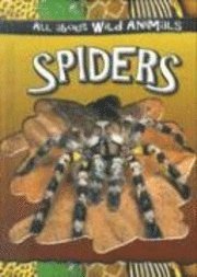 Gareth Editorial Staff - Spiders, Inbunden. Tillgänglighet: Tillfälligt slut
