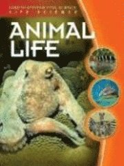 Jean F. Blashfield - Animal Life, Inbunden. Tillgänglighet: Tillfälligt slut