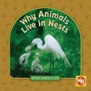Valerie J. Weber - Why Animals Live in Nests, Inbunden