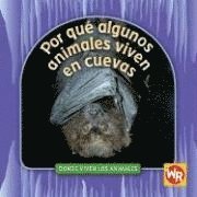 Valerie J. Weber - Por Qué Algunos Animales Viven En Cuevas (Why Animals Live in Caves) = Why Animals Live in Caves, Inbunden