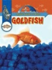 John Burstein - Goldfish, Inbunden