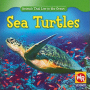 Valerie J. Weber - Sea Turtles, Häftad