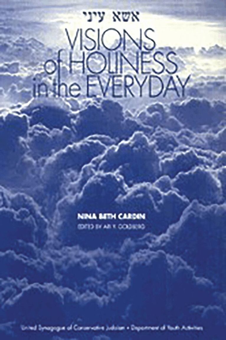 Nina Beth Cardin - Visions of Holiness in the Everyday, Häftad