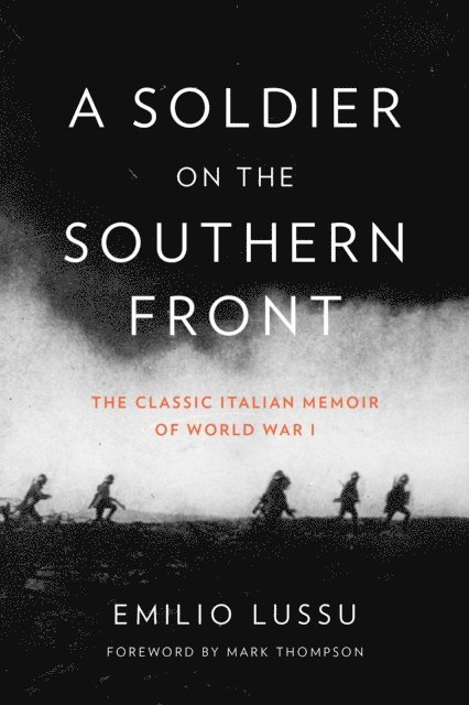 Emilio Lussu - Soldier on the Southern Front, E-bok