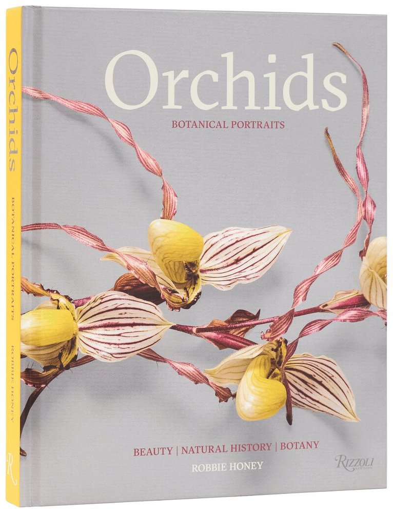 Robbie Honey, Shane Connolly - Orchids: Botanical Portraits, Inbunden