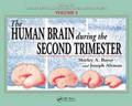 The Human Brain During the Second Trimester