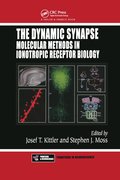 Dynamic Synapse