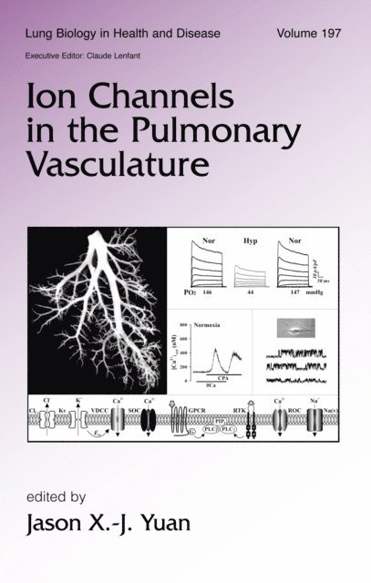Jason X. J. Yuan - Ion Channels in the Pulmonary Vasculature, E-bok