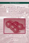 Tomato Plant Culture