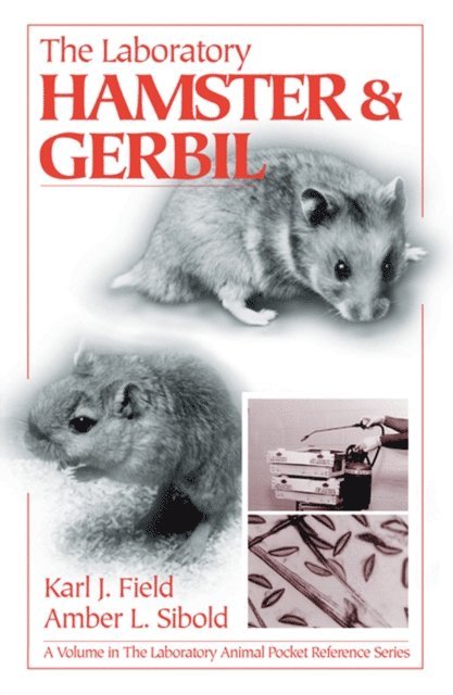 Amber L. Sibold, Karl J. Field - Laboratory Hamster and Gerbil, E-bok