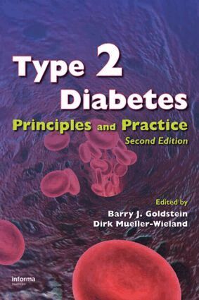 Barry J. Goldstein, Dirk Mueller-Wieland - Type 2 Diabetes, Inbunden