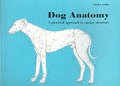 Dog Anatomy