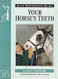 Your Horse's Teeth