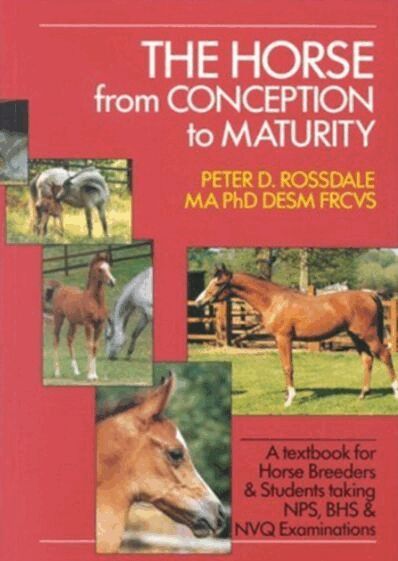 Horse from Conception to Maturity