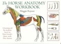 Horse Anatomy Workbook