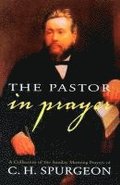 Pastor in Prayer