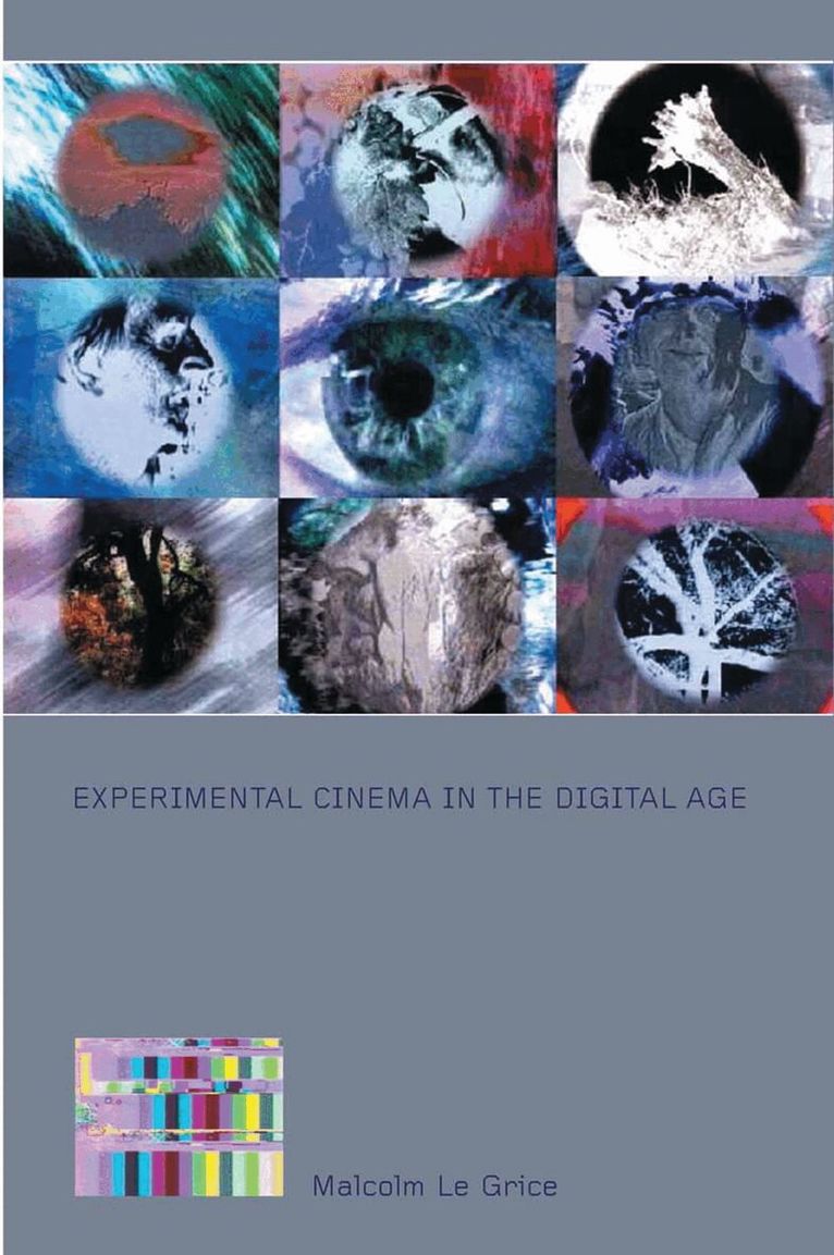 Malcolm Le Grice - Experimental Cinema in the Digital Age, Inbunden