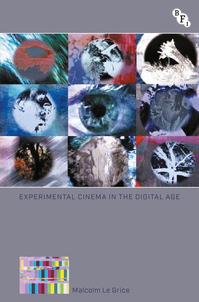 Malcolm Le Grice - Experimental Cinema in the Digital Age, Häftad