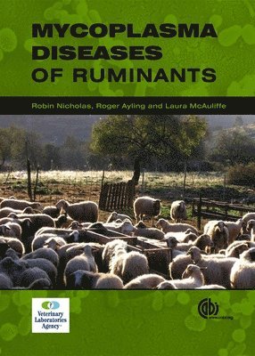 Robin Nicholas, Roger Ayling, Robin Nicholas, Roger Ayling, Laura McAuliffe - Mycoplasma Diseases of Ruminants, Inbunden. Tillgänglighet: Lägg i varukorg