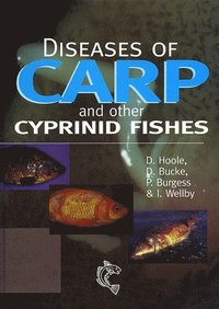 Diseases of Carp and Other Cyprinid Fishes